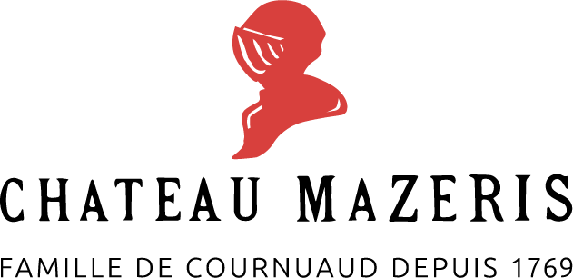 MAZERIS_Logo_centre@2x
