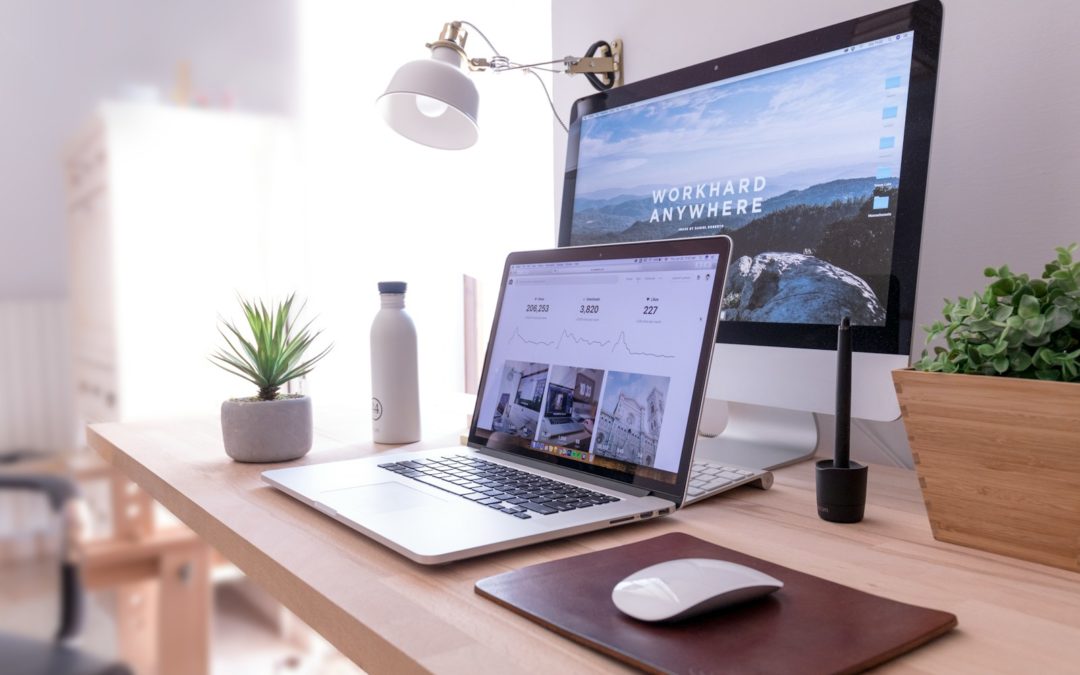 Les Tendances en Matière de Design Web pour 2024 : Comment Propulser Votre Site Vers le Succès