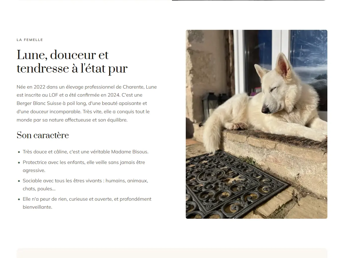 Page « Lune et Volf » du site : portrait de Lune, femelle Berger Blanc Suisse, et son caractère