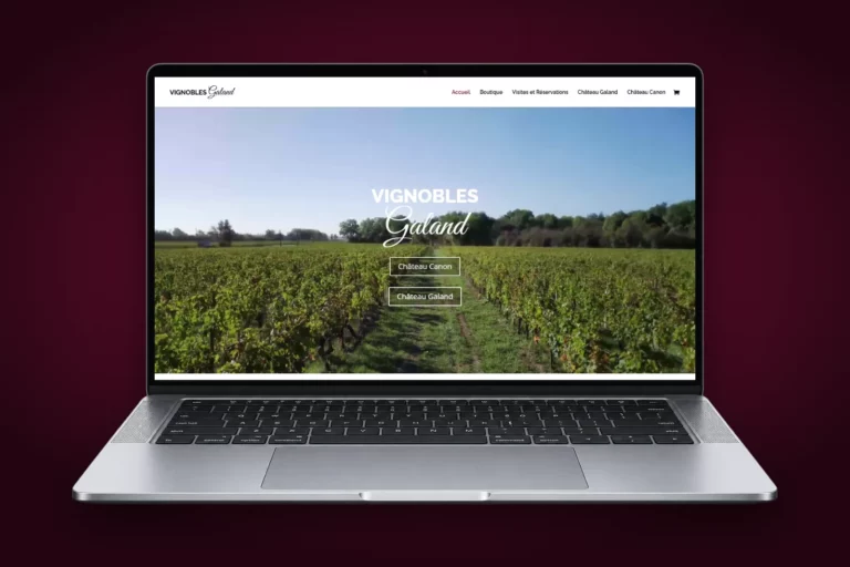 Site internet e-commerce des Vignobles Galand, Château Canon et Château Galand à Fronsac, affiché sur un ordinateur portable