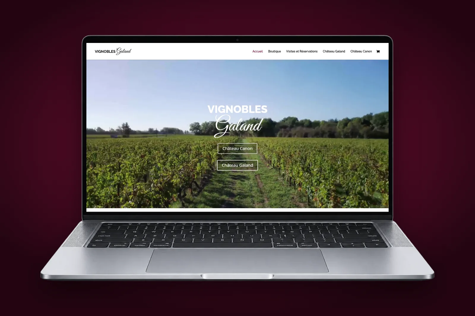 Site internet e-commerce des Vignobles Galand, Château Canon et Château Galand à Fronsac, affiché sur un ordinateur portable